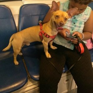 Meet your Posher, Jasmie